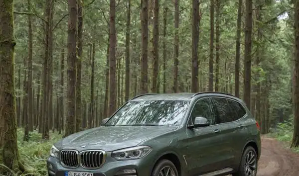 Sustainability and Environmental Features of the BMW X3