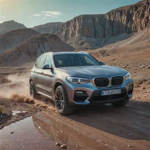 BMW X3 - Preserving the Vehicle's Appearance and Value